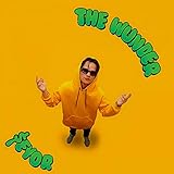 eeyore ears  Autopilot