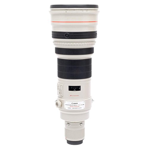 Ultimate Review of the Canon 600mm F4 EF IS USM Lens: Unleash Your Photography Potential!