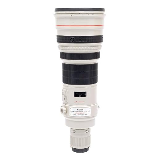 Canon 600mm F4 EF Lens for Professionals