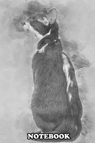 Notebook: Rear View Of An Oriental Shorthair Sitting And Looking , Journal for Writing, College Ruled Size 6" x 9", 110 Pages