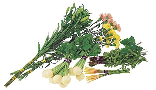 Amazon | 本体 マックス 野菜結束機 おびまる HT-M2/PU(AN) カ施 代不