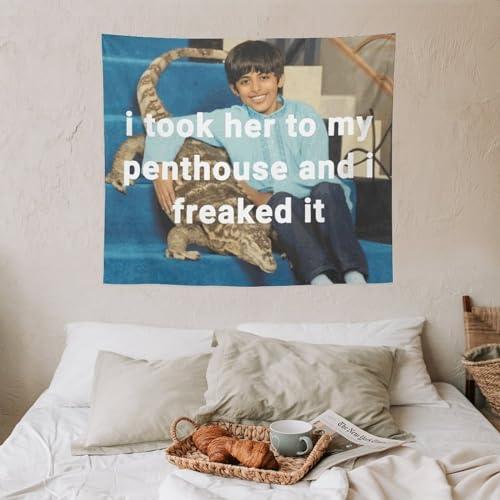 Dishilu I Took Her To My Penthouse Tapestry Art Wall Hanging Funny Meme Tapestries For Bedroom Living Room Home Decor 50 Inchx60 Inch thumb #6
