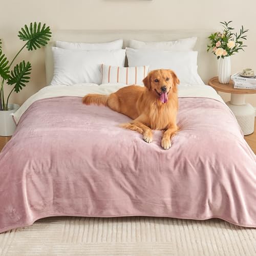 Couverture imperméable anti-fuites pour protéger efficacement votre lit des animaux - 2