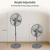 KÜHL 16" Chrome Electric Pedestal Fan | 3 Speed Settings | 80° Oscillation | Adjustable Standing Fan | Easy to Assemble | Home & Office - Image 5