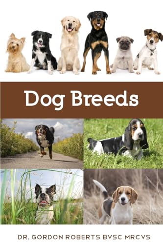 Dog Breeds: A vet's guide to the worlds most popular dog breeds