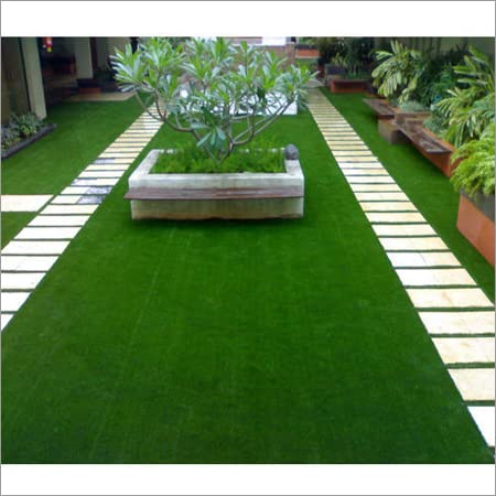 Carpet grass seeds for lawn 5000 seeds (B0BNCDTR3W) Amazon Price History, Amazon Price Tracker
