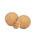 Yoga Studio Natural 100% Cork Unbranded Massage Ball Set of 3-2 x 4cm, 2cm