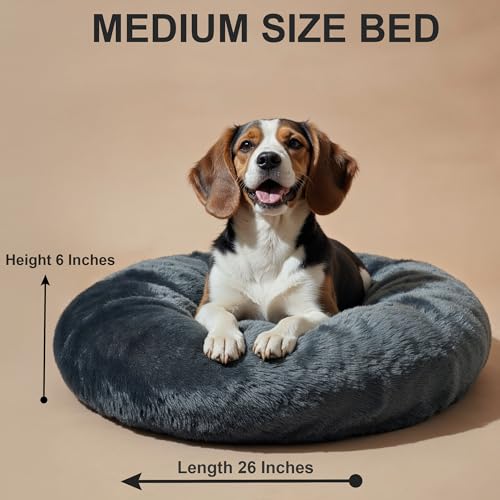 Image of WOW DOG Donut Bed for Dogs & Cats (Gray, M)