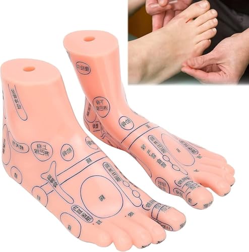 Human Foot Reflexology acupoint Massage Model, 25 CM Foot Acupuncture Modal, Auxiliary Laboratory School Supplies