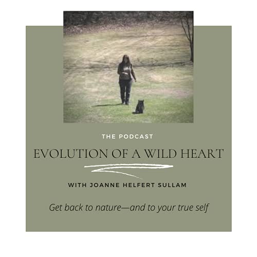 Evolution of a Wild Heart Podcast cover art