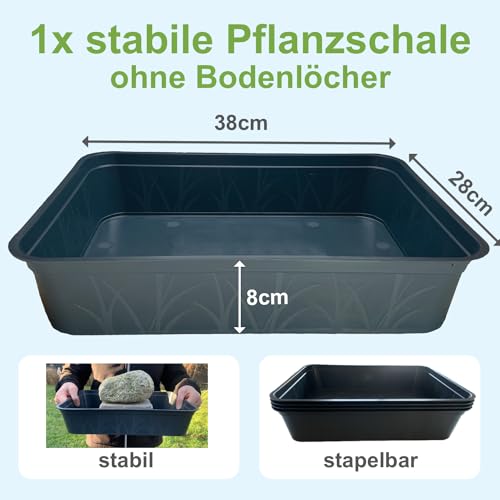 KRONLY Stabile Schale ohne Bodenlöcher 38 x 28 x 8cm - Pflanzschale Pikierschale für Pflanzen Wanne Garten Anzucht