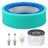 HIPA 394018S 272490S Air Filter for 392642 394018 271271 272490 Vanguard V-Twin 12.5-21hp Lawn Mower 691035 Fuel Filter 492932S Oil Filter