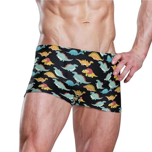 Dinosaur Dino Mens Swim Trunk Swimwear Bathing Suit Swim Brief Square Leg Board Short S B04052613