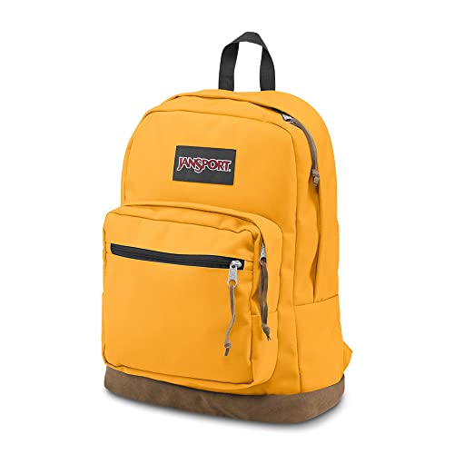 JanSport Right Pack Review School, Commute And More ⋆ Expert World Travel