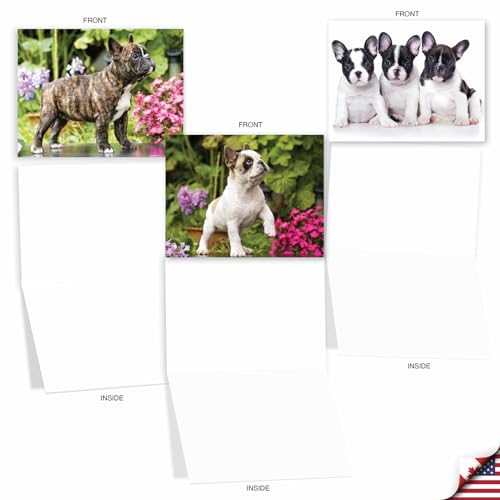 Cartes vierges chien bouledogue pour ne plus jamais manquer de carte de vœux