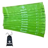 WktobeHVB Resistance Loop Exercise Bands-Stretch Bands for Working Out with Carry Bag-Elastic Band for Physical Therapy, Rehab, Yoga, Pilates and Strength Training (12×2 Inch, Green 10 Pack...