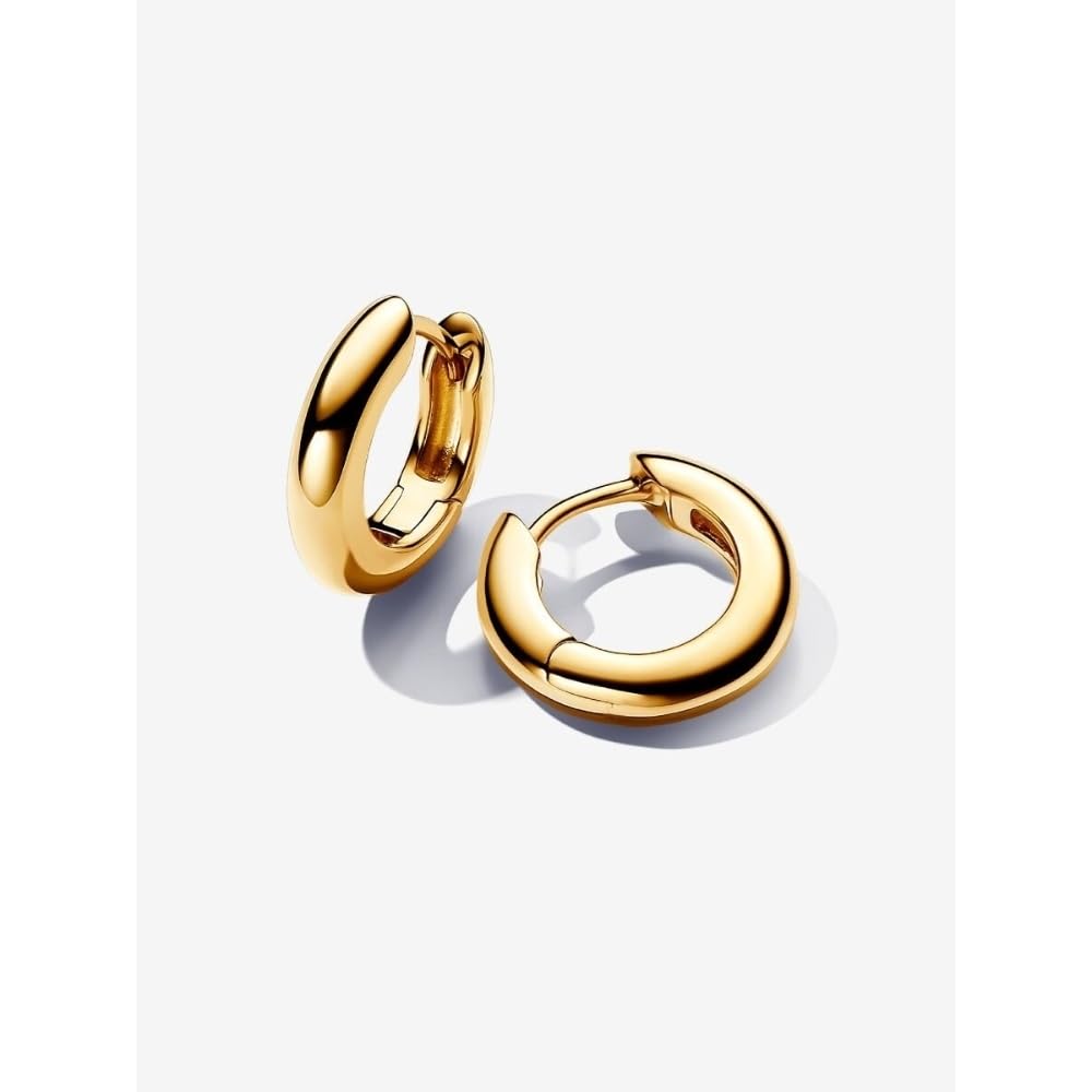 Pandora Runde Ohrringe 263320C00 Pendientes