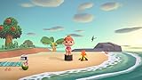 Photo of the Nintendo Switch - Animal Crossing: New Horizons