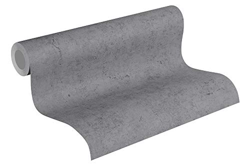 Papier Peint Uni Elements A.S. Création Papier peint intissé 10.05 m x 0.53 m Gris Fabriqué en Allemagne 369115 36911-5 Cover
