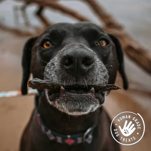 Beg & Barker Turkey Jerky For Dogs (10 Oz, Pack Of 2) - Natural Treats Made In The Usa - Grain Free, Diabetic-Friendly, High Protein, Sugar-Free (Turkey Strips) (With Liver) #TOP4