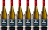 REBSORTE: Chardonnay, Anbaugebiet Rheinhessen, Deutschland