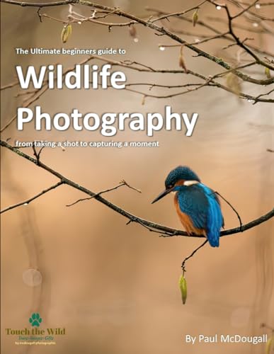 The Ultimate Beginners Guide to Wildlife Photography: From Taking a Shot to Capturing a Moment - image 1