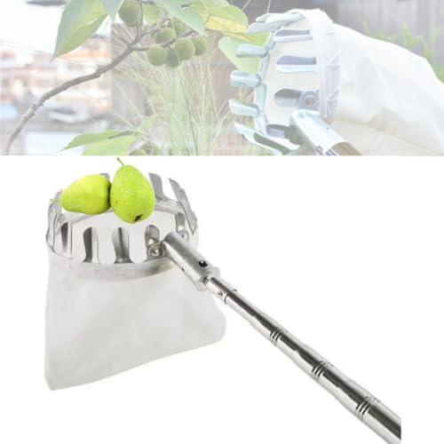 t[csbJ[ ʕLb`[ Lk 2/3/4/5m y x[sbJ[ |p LknhƃRbgobOtt[csbJ[ SsbJ[ Eݎ⏕ t