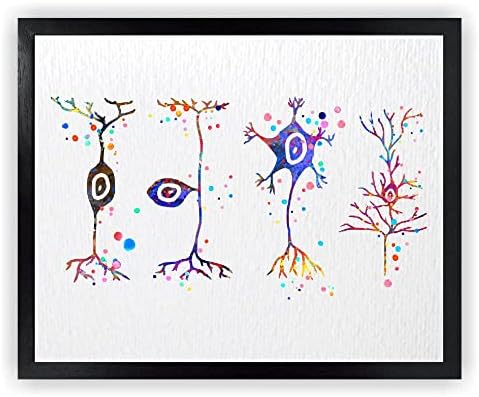 Dignovel Studios 8X10 Unframed Neuron Types Art Science Neurology Medical Art Brain Neuroscience Neurologist Office Clinic Watercolor Art Print Poster Wall Art Nursery Kids Office Home Decor DN580