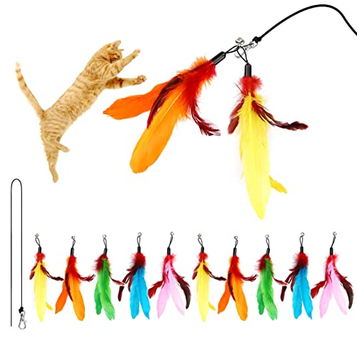 Meohui 11Pcs Cat Toys Wand Refills, Assorted Teaser Refills With Bell For Cat Feather Toys And Cat Teaser Toys, 10Pcs Feather Replacements And 1Pc Replacement String For Cat Wand #TOP1