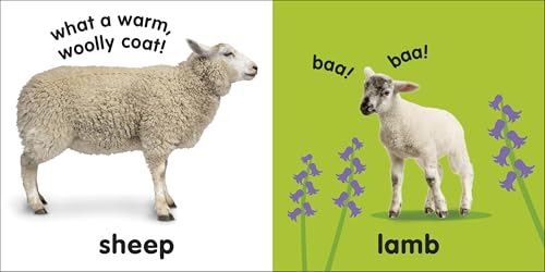 Baby Touch and Feel Farm Animals