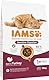 IAMS Sensible Verdauung Katzenfutter trocken mit Pute - Trockenfutter für Katzen mit empfindlichen Mägen ab 1 Jahr, 10 kg