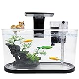 2.2 Gallon Fish Tank Kit, Small Aquarium Starter Tank with Filter and Light, Acrylic Nano Desktop Tank with Color-Changing LED & Decor - Complete Starter Kit for Betta Fish Shrimp Guppy Goldfish Beta