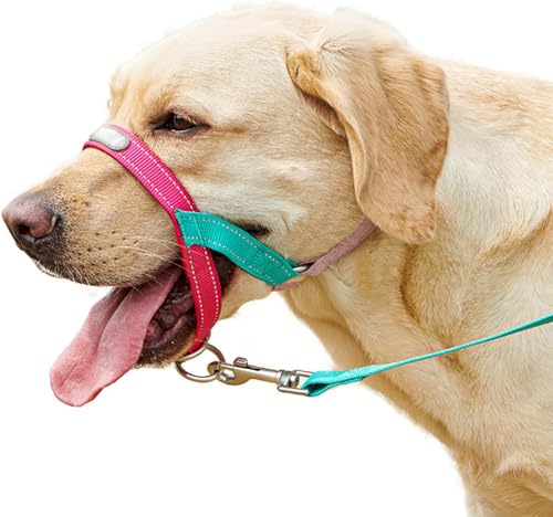 LoKori Collar Halsband für Hunde, Erziehungshalsband liebevoll, Hundehalfter, Verhindert, DASS Ihr Hund an der Leine zieht, Einfache Anpassung und Benutzung (1)