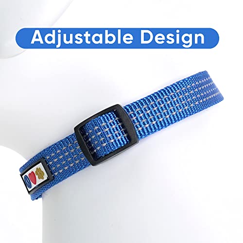 Collar Reflectante Pawtitas para Perros Pequeños Talla S Azul miniatura 4