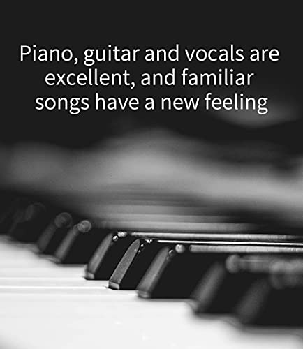 Monitoren Oordopjes, hoogwaardige harsholte Bedraad HiFi Stereo Ruisisolerend IEM bedrade oordopjes met afneembare kabel… - Image 8