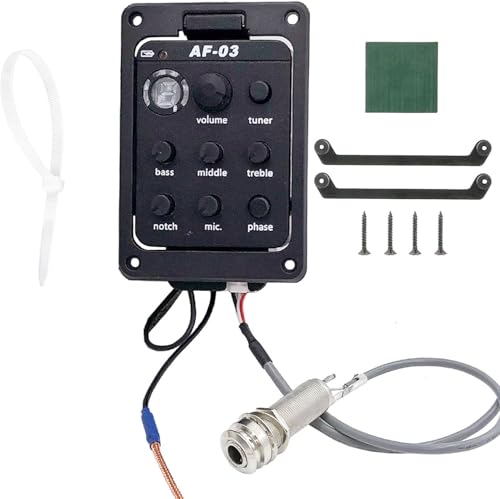 Acoustic Guitar Preamp Pickup EQ Tuner 301