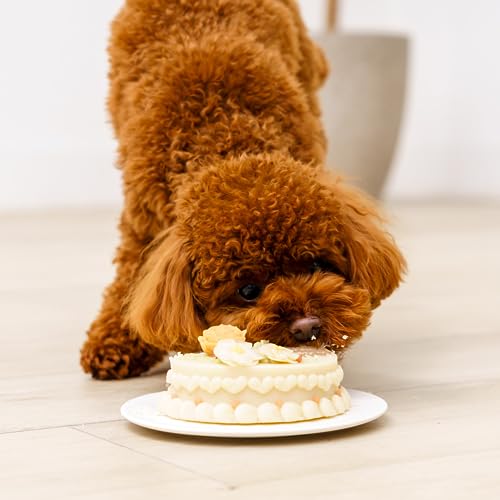 [MyBESTiee] 愛犬用 アニバーサリーケーキ フラワー | 無添加 ワンコケーキ 犬用ケーキ 誕生日 お祝い 国産 ヘルシー 低脂肪 低カロリー アニバーサリー プレゼント 記念日 パーティー 文字入れ 名入れ 愛犬 バースデー ケーキ ワンちゃん ドッグフード ペットフード 大阪府 守口市 [2227]