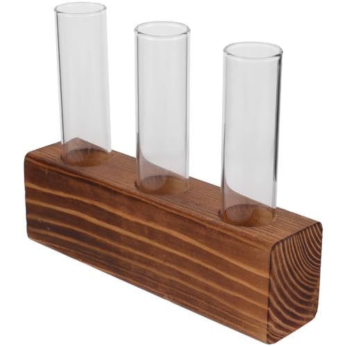 DOITOOL Vase Hydroponique en Verre Support en Bois pour Petites Plantes de Terrarium, Design Élégant, Coins Arrondis, pour Balcon et Salon