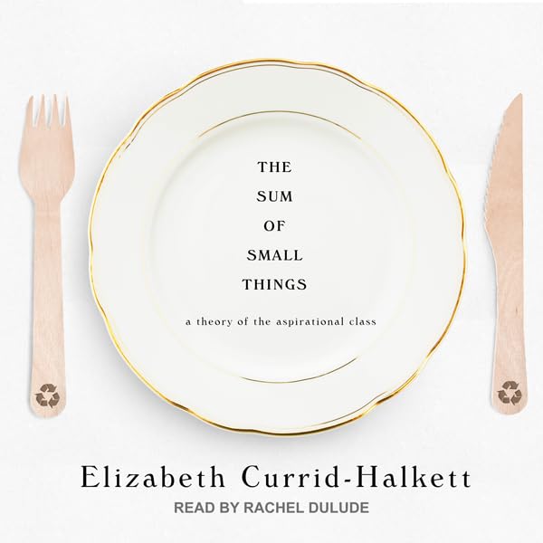 Cover art for The Sum of Small Things