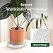 GROWNEER 15 Pack of 6, 8, 10 Inches Clear Plant Saucers Flower Pot Trays, with 15 Pcs Plant Labels, Plastic Plant Drip Trays for Indoor Outdoor Plants Garden, 5pcs of Each Size