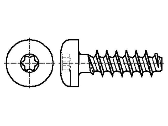 100X 3304810 Schraube für Kunststoff 3x5 Kopf: Zylinder Torx® PLUS Stahl BOSSARD