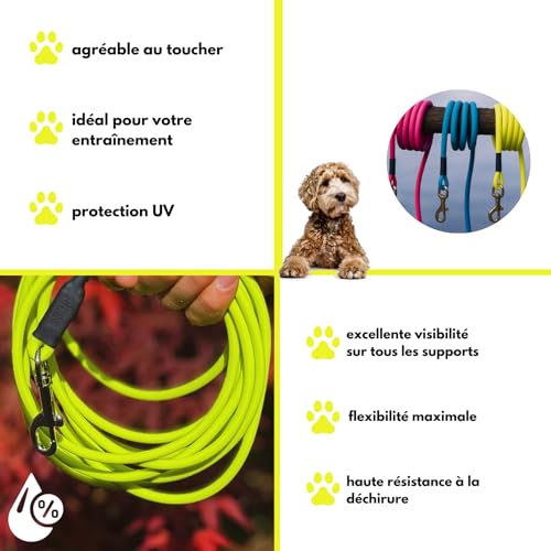 10m Schleppleine Hunde, Wasserfeste Hundeleine Rundleine mit Handschlaufe, Robuste Freilauf-Trainingsleine Neon-Gelb, bis 35kg