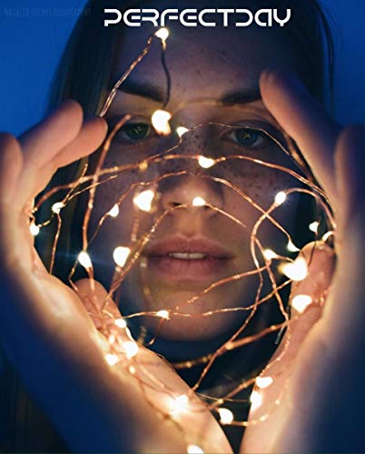 Image of PERFECTDAY String Lights, 200 LED 66 FT Copper Fairy String Lights Warm White Waterproof USB Powered String Light for Indoor Outdoor Party Decoration
