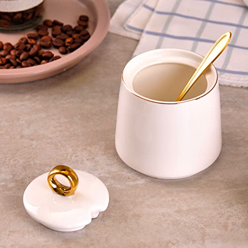 WHJY Ceramic Sugar Bowl with Lid and Spoon