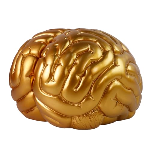 Brain Bookends Office Decorative Bookends for Shelves Heavy Bookends Book Stoppers Book Holders for Desk Decoration (Gold)