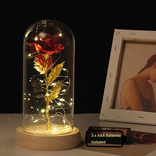 TYXSHIYE Forever Rose in Glass Dome, 24K Red Rose with 20 LEDS 2M/6.6ft String Light, 3PCS AAA Batteries Included for Christmas Thanksgiving Wedding Anniversary Mother's Day Valentine's Day