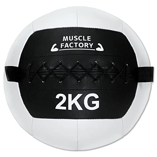 MUSCLE FACTORY fBV{[ 2kg \tg g[jO {[ EGCg{[ ̊ ؃g  Z tBbglX ؃g (zCg)