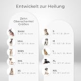 Ortocanis - Kniebandage Hund Hinterbein für das rechte Bein - Hergestellt aus Neopren ARD - Bei Kreuzbandriss, Bänderverletzungen, Patellaluxation oder Osteoarthritis - Größe X-Large (14,2-16')