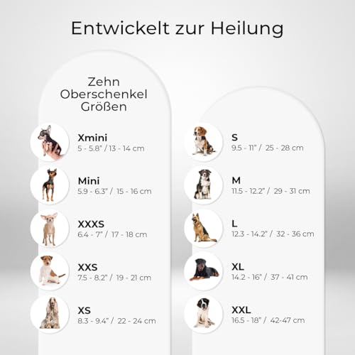 Ortocanis - Kniebandage Hund Hinterbein für das rechte Bein - Hergestellt aus Neopren ARD - Bei Kreuzbandriss, Bänderverletzungen, Patellaluxation oder Osteoarthritis - Größe X-Large (14,2-16')