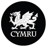 AK Wall Art Cymru Welsch Dragon Vinyl Sticker - Car Phone Helmet - Select Size